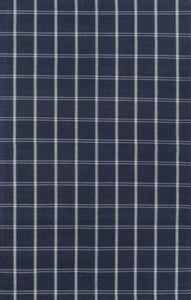 color swatch