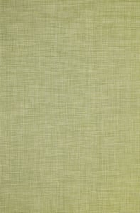 color swatch