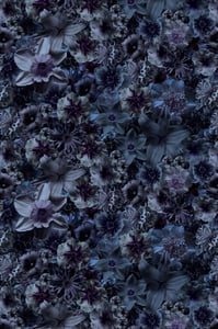 color swatch