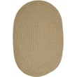 Product Image of Country Celery (CX-26) Area-Rugs