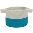 Product Image of Country Teal (PY-23) Baskets