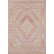 Product Image of Traditional / Oriental Pink Area-Rugs