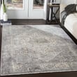 Surya Presidential PDT2311 Vintage / Overdyed Area Rugs Rugs Direct