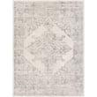 Product Image of Vintage / Overdyed Livabliss &middot; Roma &middot; 24073 &middot; Cream, Medium Grey (ROM-2322) Area-Rugs