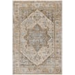 Product Image of Traditional / Oriental Sage, Grey, Taupe (BWK-2318) Area-Rugs