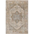 Product Image of Traditional / Oriental Livabliss &middot; Brunswick &middot; 30608 &middot; Sage, Grey, Taupe (BWK-2318) Area-Rugs