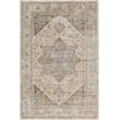 Surya Brunswick 30609 Traditional / Oriental Area Rugs Rugs Direct