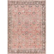 Product Image of Vintage / Overdyed Coral, Tan, Charcoal (CLN-2301) Area-Rugs