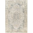 Product Image of Vintage / Overdyed Livabliss &middot; Aspendos &middot; 30432 &middot; Blue, Grey, Light Beige (APS-2303) Area-Rugs