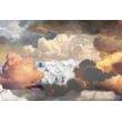 Product Image of Contemporary / Modern Moooi Carpets &middot; Walking on Clouds &middot; Landscape &middot; Dawn Area-Rugs