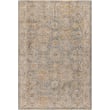 Product Image of Traditional / Oriental Livabliss &middot; Naila &middot; 31166 &middot; Khaki, Sage, Grey (IAL-2307)  Area-Rugs