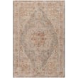 Product Image of Traditional / Oriental Livabliss &middot; Naila &middot; 31173 &middot; Taupe, Brick, Grey (IAL-2317)  Area-Rugs