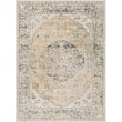 Product Image of Traditional / Oriental Ivory, Charcoal, Beige (LLL-2309) Area-Rugs