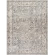 Product Image of Traditional / Oriental Taupe, Sage, Khaki (BOCC-2301) Area-Rugs