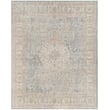 Product Image of Vintage / Overdyed Light Grey, Tan, Pale Blue (OAT-2300) Area-Rugs