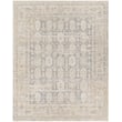 Product Image of Vintage / Overdyed Tan, Grey, Light Brown (OAT-2303) Area-Rugs