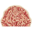 Liora Manne Esencia Peony Coral rug in shades of pink and coral set in a cozy living room; features detailed floral patterns.