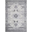 Product Image of Traditional / Oriental Loloi II Rugs &middot; Skye Printed &middot; SKY-02 &middot; Silver, Grey Area-Rugs