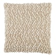 Product Image of Contemporary / Modern Beige, Ivory (AGO-10) Pillow