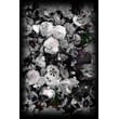 Product Image of Floral / Botanical Moooi Carpets &middot; Eden &middot; Queen &middot; Black, White Area-Rugs