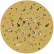 Product Image of Floral / Botanical Yellow Area-Rugs