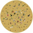 Product Image of Floral / Botanical Moooi Carpets &middot; Garden of Eden &middot; Round &middot; Yellow Area-Rugs