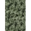 Product Image of Floral / Botanical Green Area-Rugs