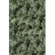Product Image of Floral / Botanical Moooi Carpets &middot; Hortensia &middot; Hortensia &middot; Green Area-Rugs