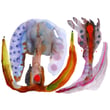 Product Image of Abstract Moooi Carpets &middot; In the Meadow  &middot; Butterfly &middot; White Area-Rugs