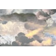 Product Image of Contemporary / Modern Moooi Carpets &middot; Walking on Clouds &middot; Landscape &middot; Light Area-Rugs