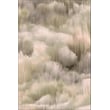 Moooi Carpets Green House Beetle Dunes Pampas rug with organic design, rich earthy tones, showcasing intricate texture suitable for any modern interior.