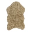 Product Image of Contemporary / Modern Sheep Beige Area-Rugs