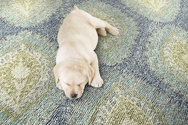Round rug for queen size bed