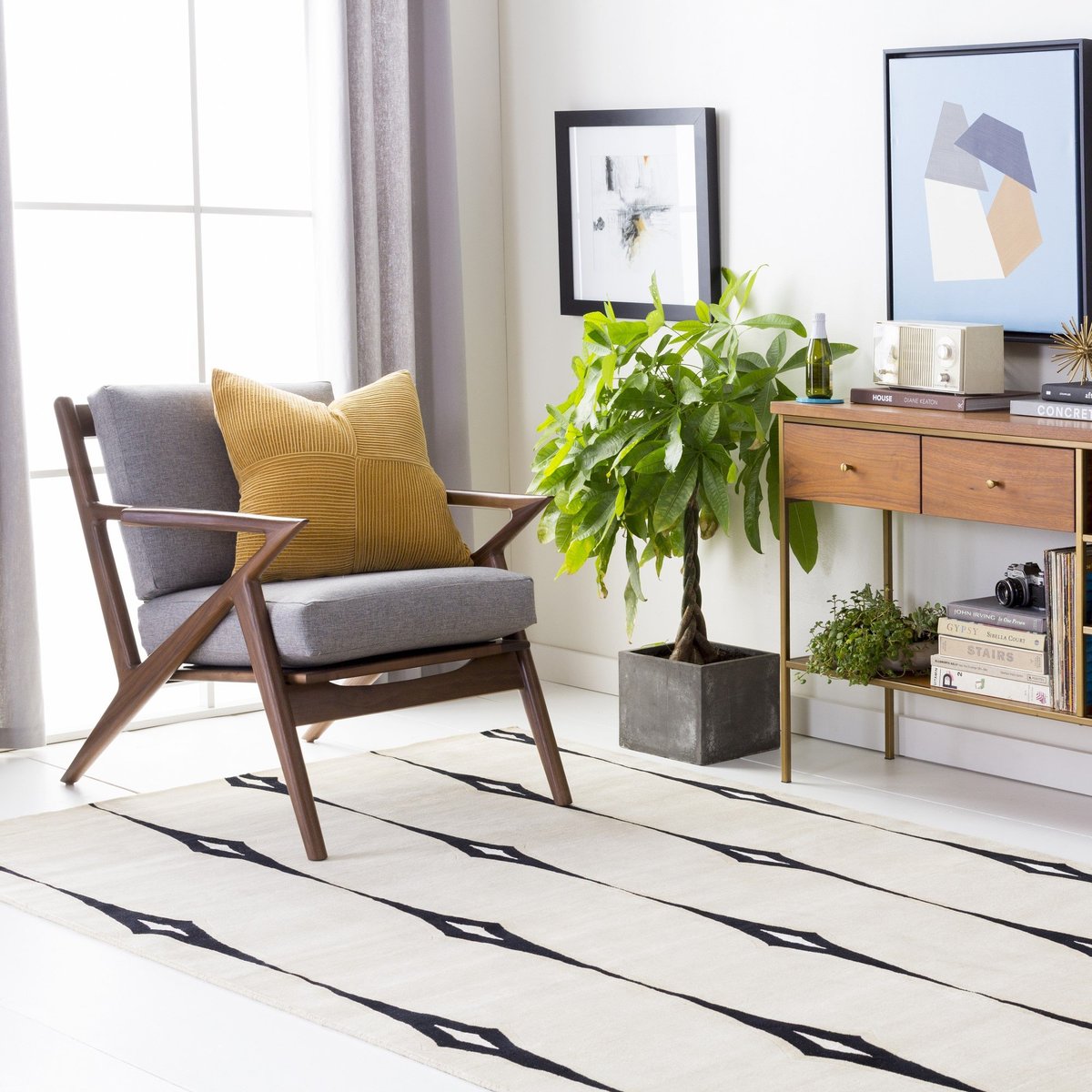 Mid-Century Monochrome - Black and White Living Room Design Advice