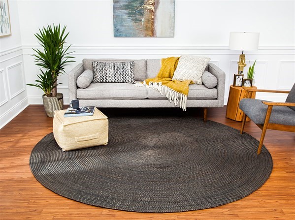 Round living room rug and couches