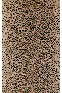 Champion Rugs Leopard Skin Black and White Border Area Rug Animal Print  Carpet (3' 11” X 5' 2”)