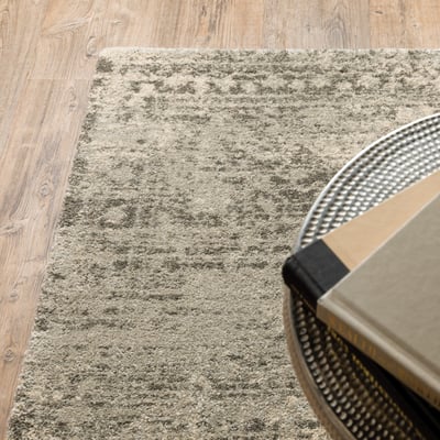 Astor 1806 Beige/Grey Area Rug