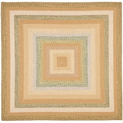 Braided II BRD-314 Tan/Green Braided Area Rug