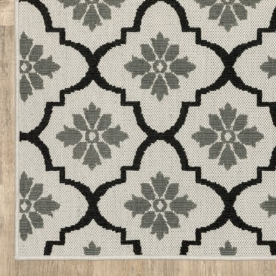 Torrey 5562 Beige/Black Outdoor Area Rug