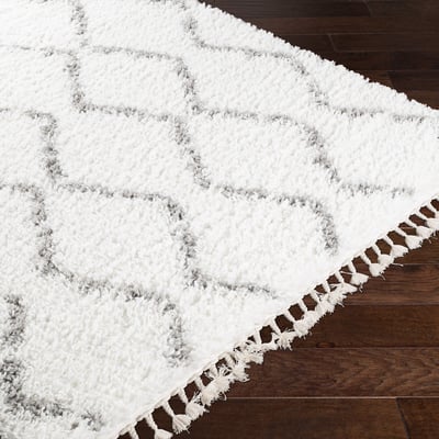 California Shag 25216 White/Grey Area Rug
