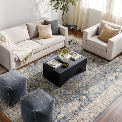 Aspendos 30435 Area Rug