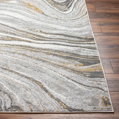 San Francisco 32577 Grey/White/Gold Area Rug