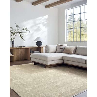 Fetscher 625461 Light Brown/Ivory/Brown Area Rug