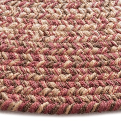 Winthrop Braided Outdoor Area Rug