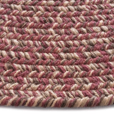 Worcester Braided Braided Outdoor Area Rug