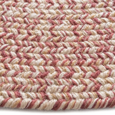 Worcester Braided Braided Outdoor Area Rug