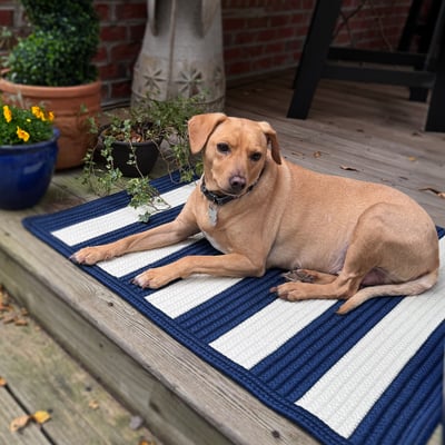 Endless Braided Outdoor Area Rug
