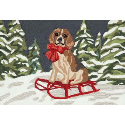 Front Porch Winter Sled Dog Blue/Green/Red Hand-Tufted Outdoor Area Rug