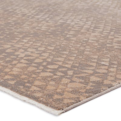 Land Sea Sky Sierra Taupe/Grey Area Rug