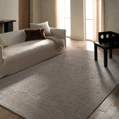 Serenita Elam Grey Area Rug